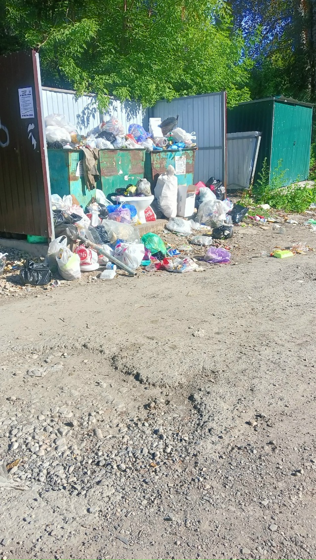 Это вообще нормально? В магазине полно мух от помойки. ?...