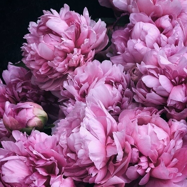 если внутри человека живёт весна, её не испортит даже п...