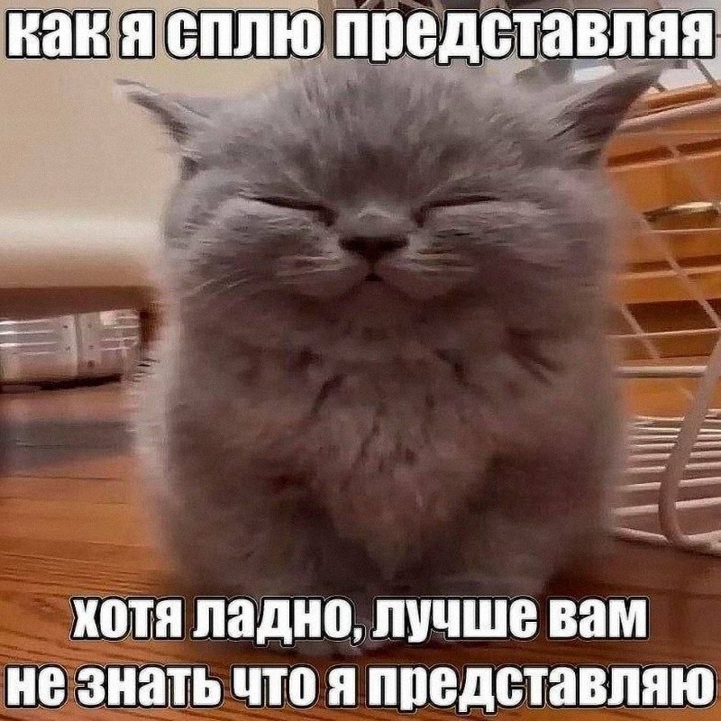 Утренняя подборочка