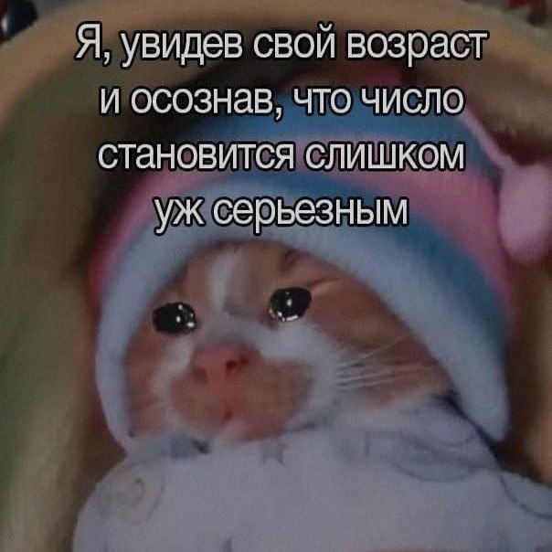 Ночная подборочка
Спать, режим