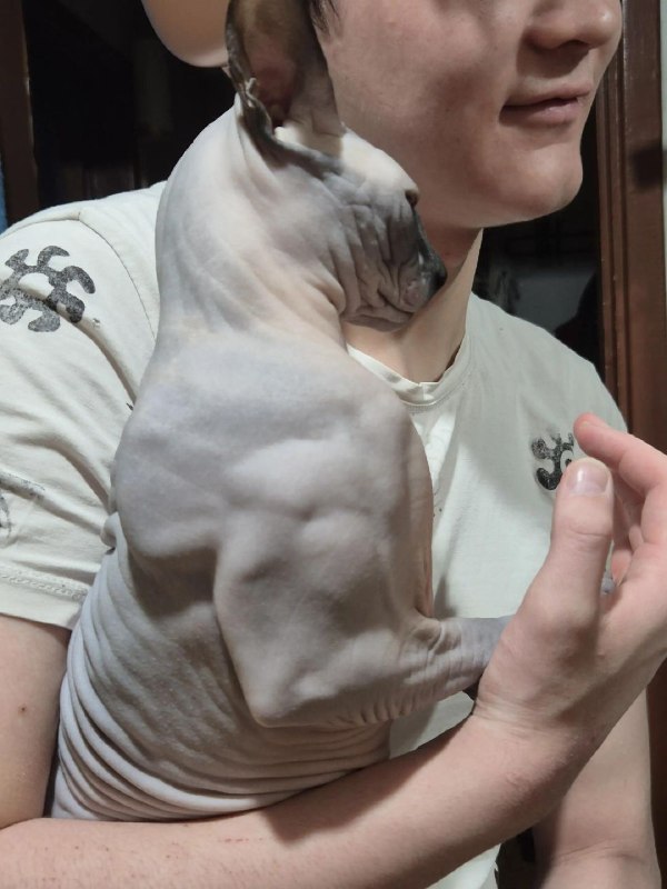 Какой же он мощный