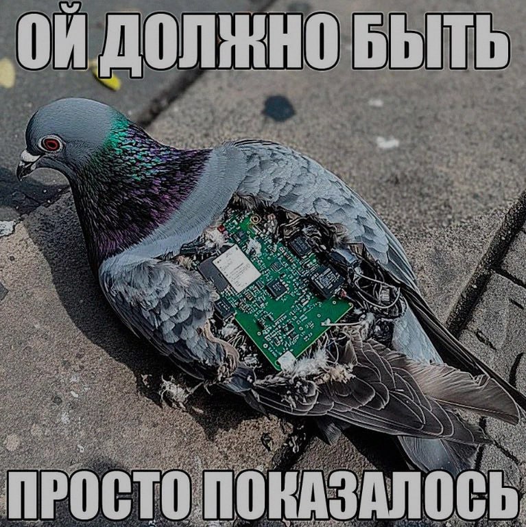 Ночная подборочка
Спать, режим