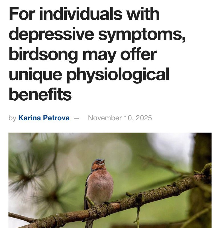 Пение птиц помогает вылечить депрессию — оно сильно снижает стресс и улучшает настроение, выяснили у