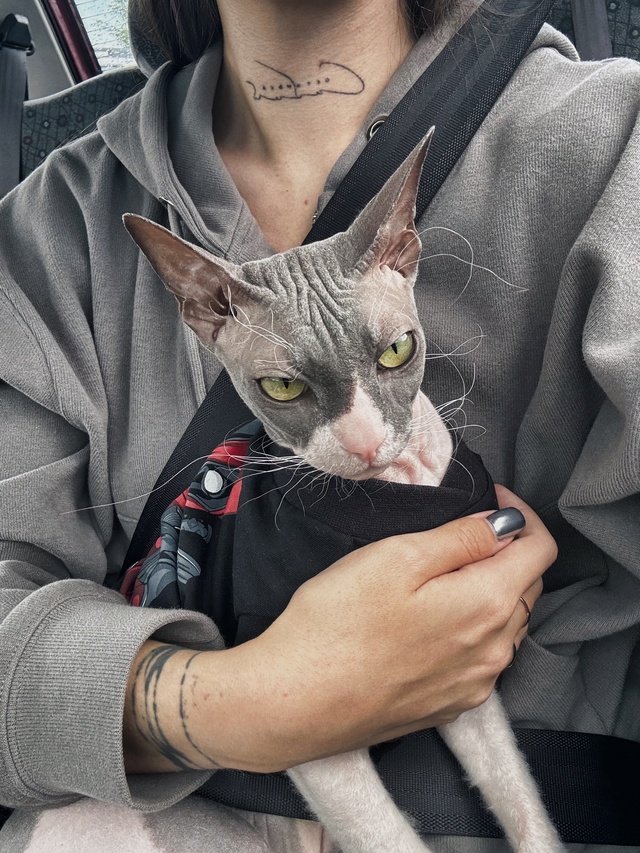 Первая летняя поездка в этом году ?
Стич абсолютно сп...