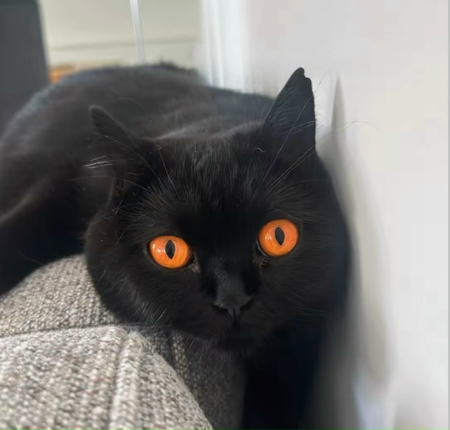 Оххх эти глаза😍