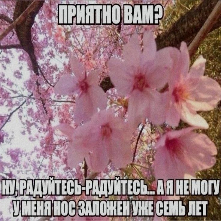 Ночная подборочка
Спать, режим