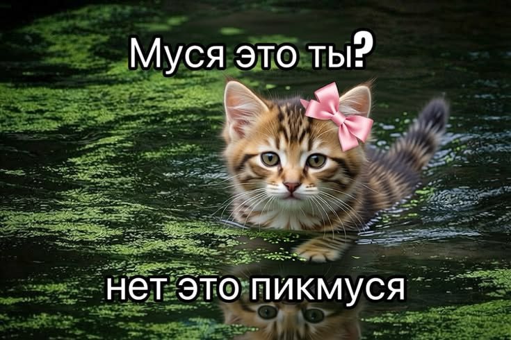 когда твоя подруга, которая обычно открывает пиво глазом и бьет воблой по столу, привела тебя знаком