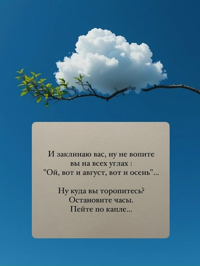Цените моменты