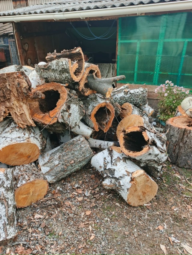 Вот такие ЗАМЕЧАТЕЛЬНЫЕ дрова нам привезли!!!! При прос?...