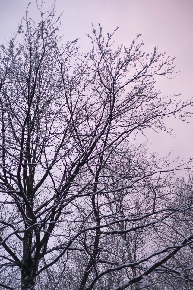 Доброй ночи, Никольск❤