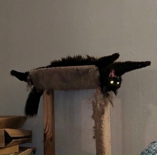 Она — когда вы только познакомились / и когда ты узнал ?...