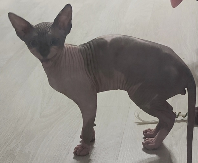 Не взяли на балкон?