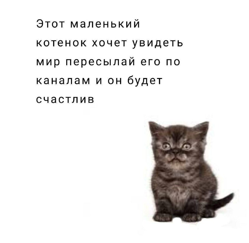 Утренняя подборочка