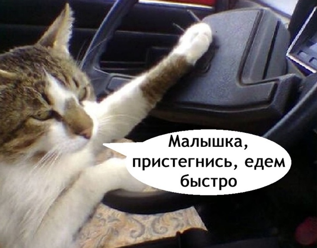 Кто не знает, это прям очень быстро