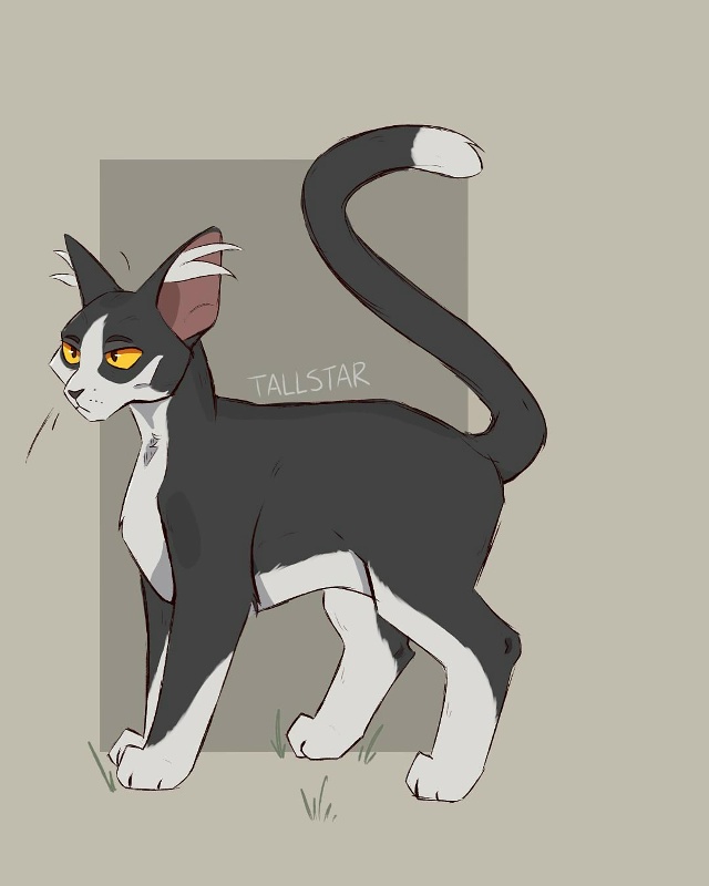 Звездный Луч
© Chips098
#KV_ZZ_ART