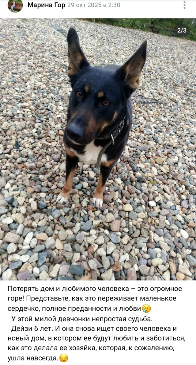 Пост добра. Распространите, пожалуйста.