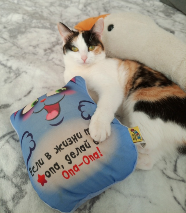 Шанель отдыхает😁