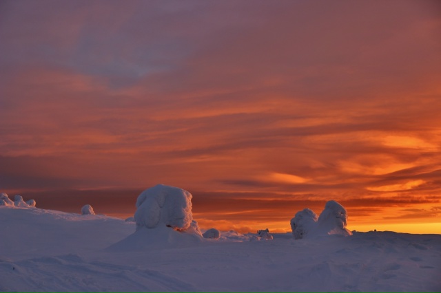 Прекрасные фотографии нашей природы🔥
Фотограф - Илья ...