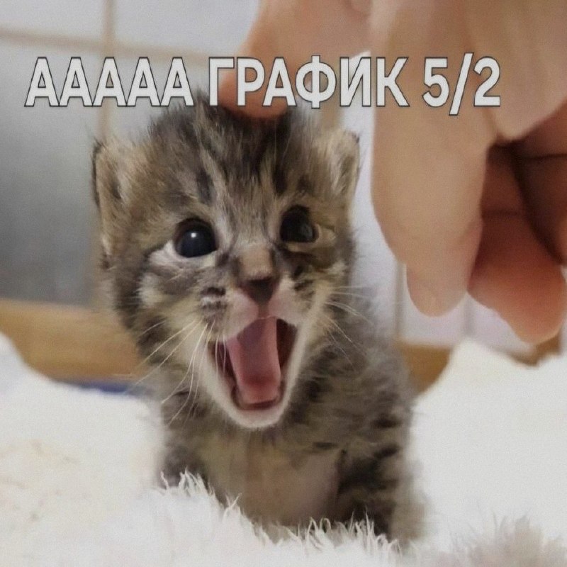 Ночная подборочка
Спать, режим