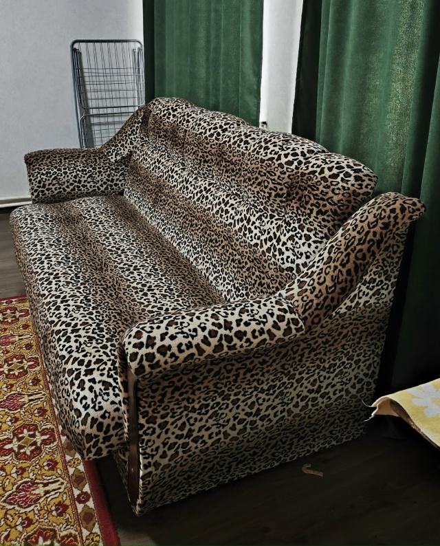 Здравствуйте группа! ?Пристраивается леопардовый ко?...