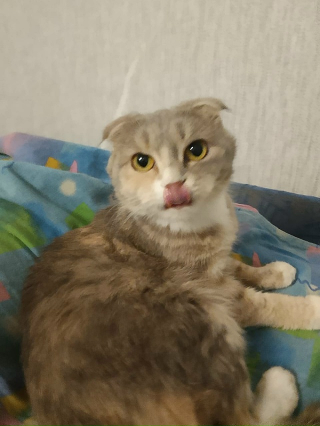 Админ, опубликуй, пожалуйста!
Переславль!
Друзья!
Обра...