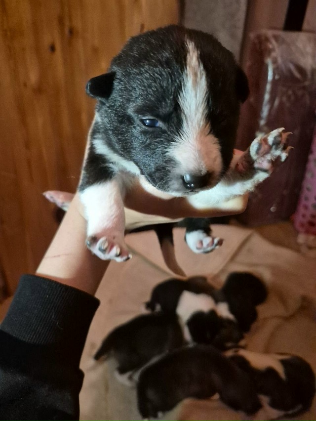 Ребята. Всем большой привет. Думаю, что многие видели п?...