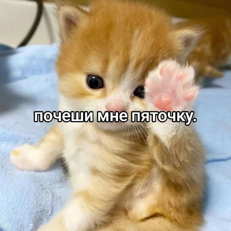 Утренняя подборочка