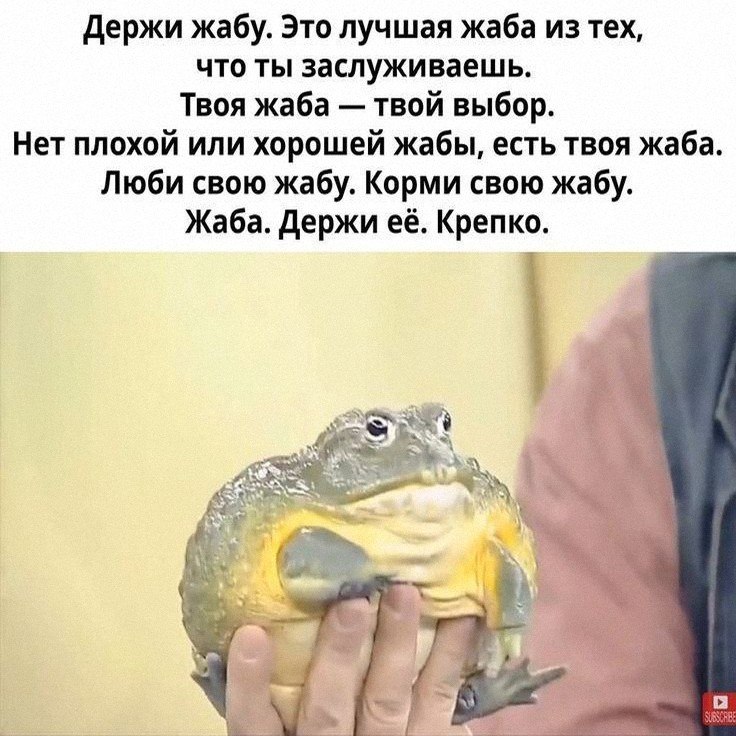 Утренняя подборочка