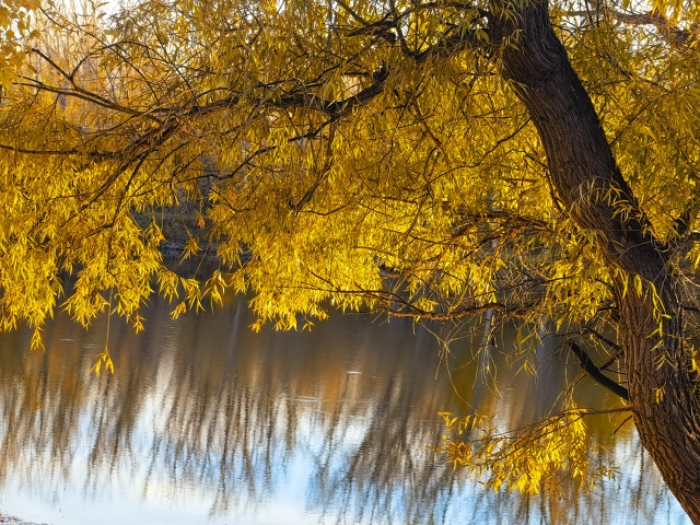😍 Золотая осень в парке Строителей