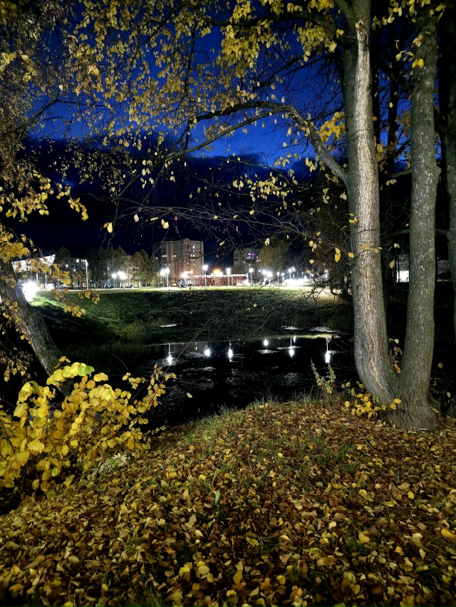 Осень 🍂
Анон