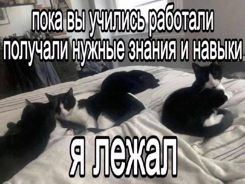 Утренняя подборочка