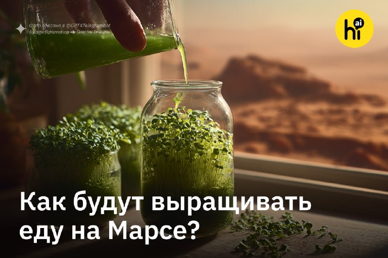 🚀 Огороды на Марсе помогут создать бактерии
Космонавтам, которые отправятся исследовать Красную пла