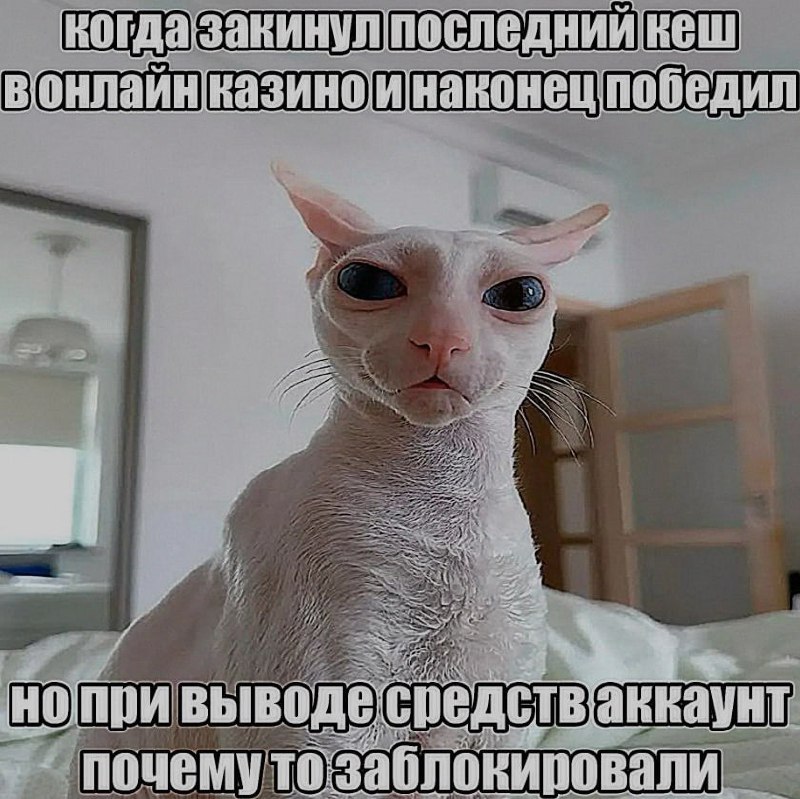 Ночная подборочка
Спать, режим