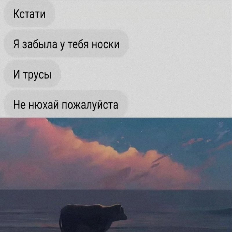 Ночная подборочка
Спать, режим