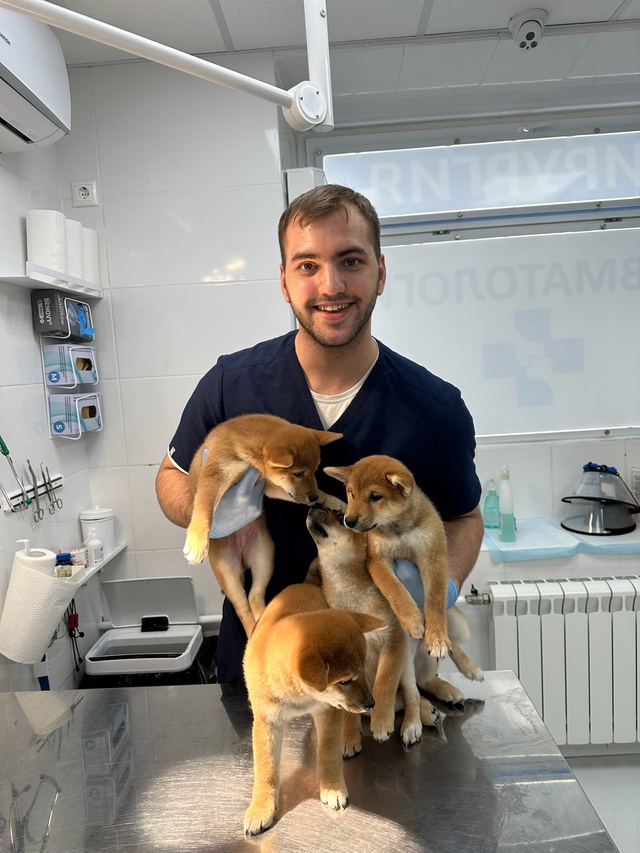🐾 Уникальное предложение! Ветеринарный врач Бочаров ?...