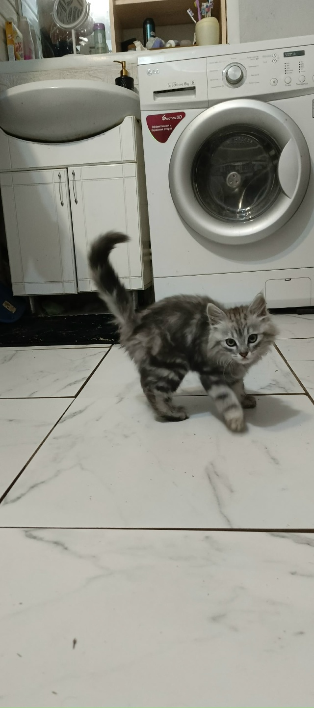 Добрый вечер, может кто-то потерял? Обращайтесь на ул. Т...