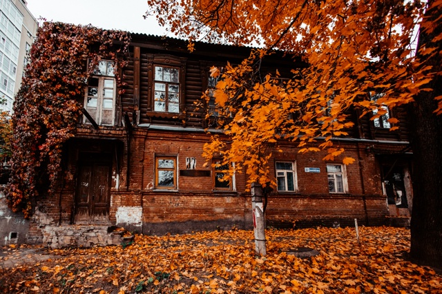 Золотая осень стремительно наступает на Воронеж🍁🍂