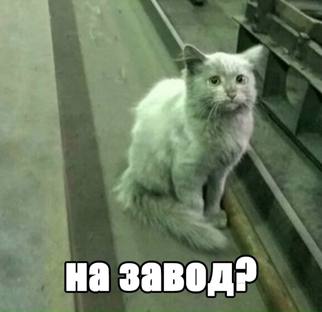 ❗Девятиклассников, проваливших выпускные экзамены, б?...