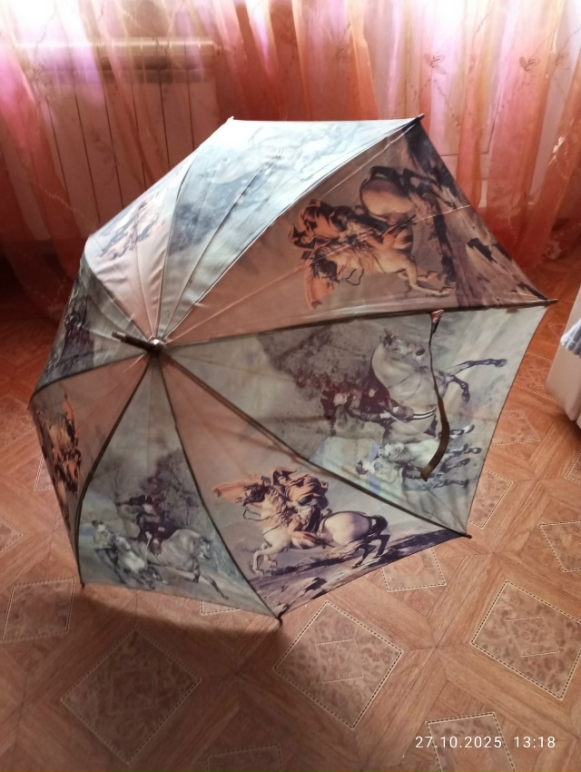 Нашла красивый зонт в районе остановки 