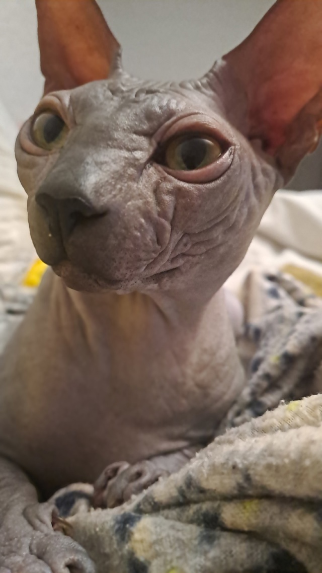 Мой Космос ?? Мой пирожок , мамин серенький волчонок ...