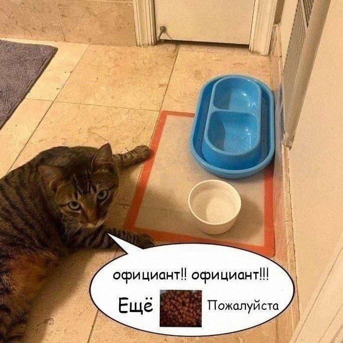 Утренняя подборочка