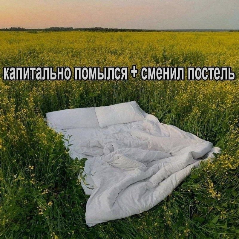 Ночная подборочка
Спать, режим