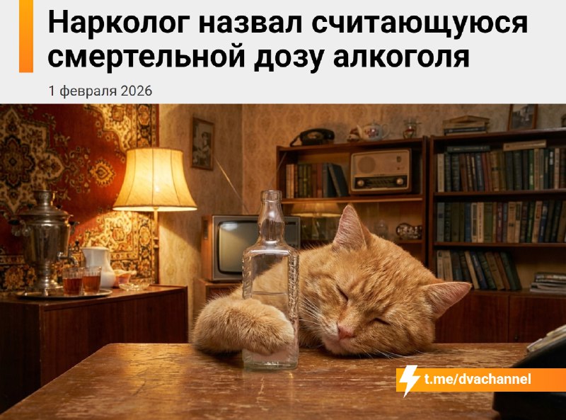 Врачи назвали смертельную дозу алкоголя
🟠Для мужчины весом 70-80 кг это 0.7-1.2 литра крепкого спир