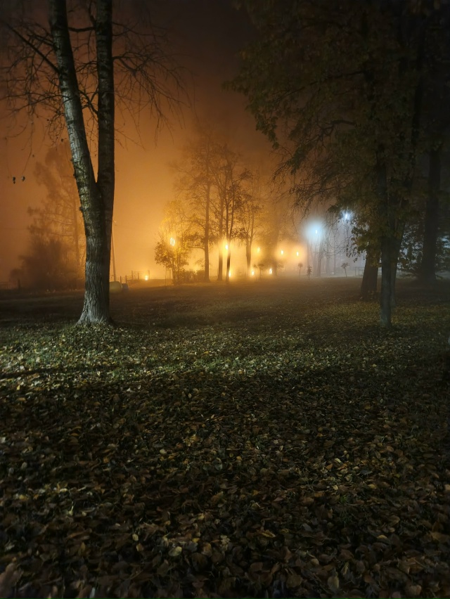 Эх золотая , туманная осень 🍁