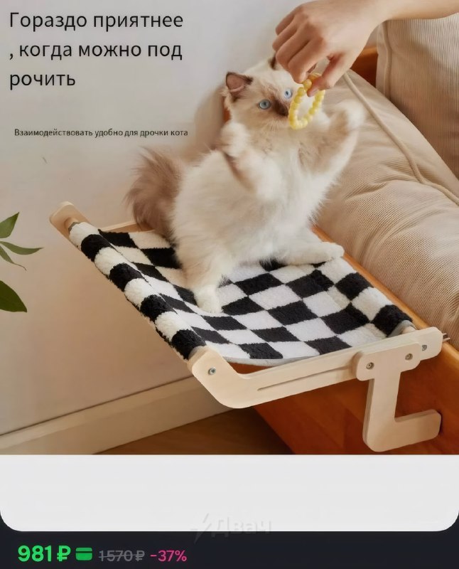 Китайские продавцы на маркетплейсах снова ошиблись с автопереводом — при оформлении карточки товара