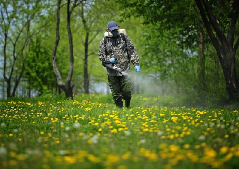 🕷️Московские парки и скверы обработаны от клещей, — Роспотребнадзор
