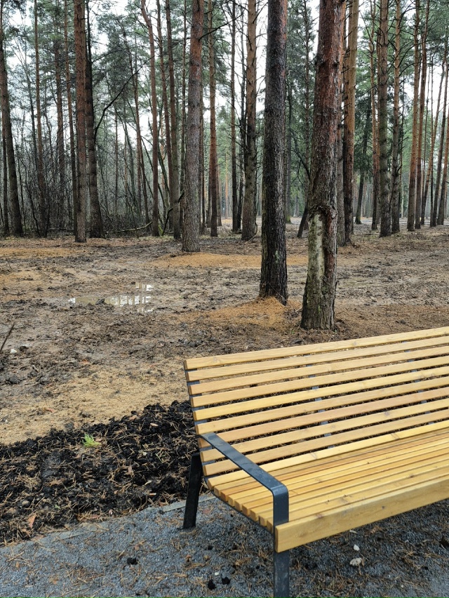 Сходили прогуляться с семьей в этот новый лесопарк Стр...