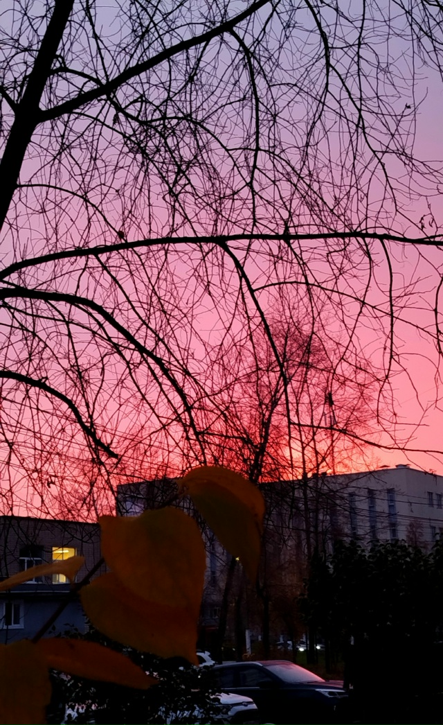 Рассвет сегодня, 21.10.25г.,кто снимал еще,поделитесь крас?...