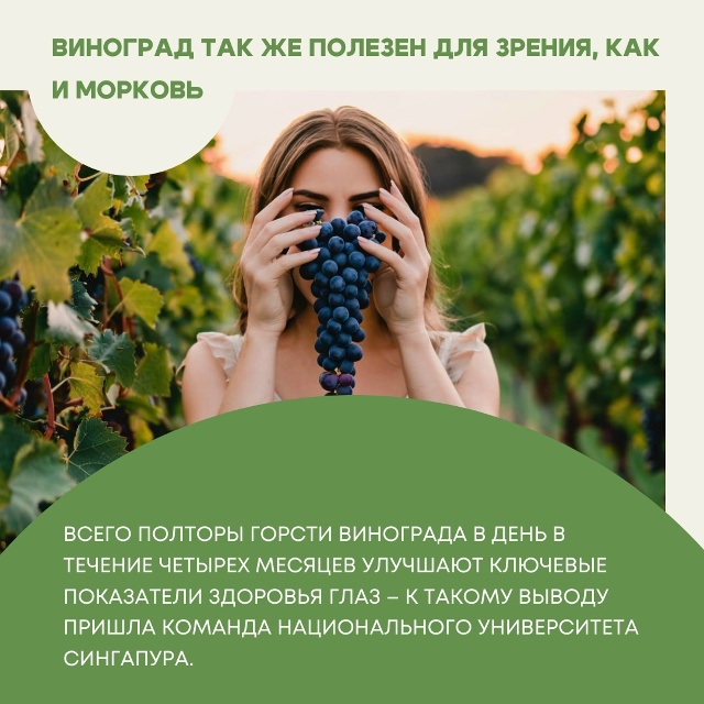 Про #пользу моркови для зрения известно давно. А вот по?...