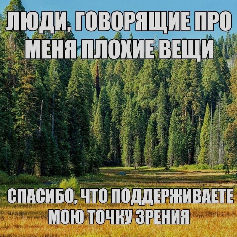 Ночная подборочка
Выходные, не спим